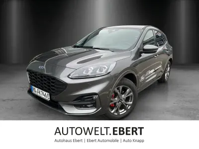 Używany Ford Kuga ST-Line X 224 KM (164 kW) 2024 Szary SUV