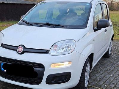 Gebraucht Fiat Panda Easy 69 PS (50 kW) 2018 Weiß Kleinwagen