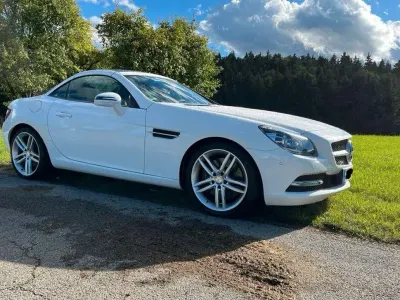 Brugt Mercedes SLK250 204 HK (150 kW) 2014 Hvid Cabriolet