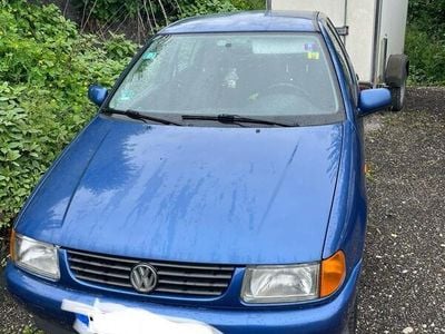 VW Polo