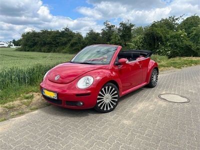 VW Beetle