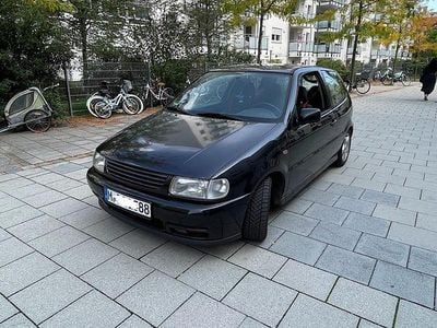 VW Polo