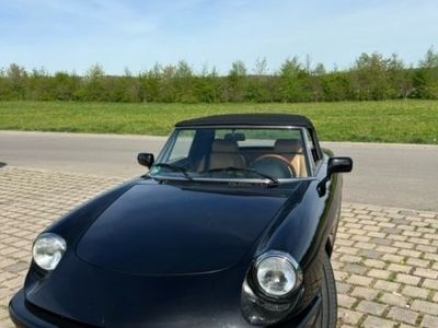 gebraucht Alfa Romeo Spider 