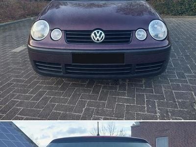 Używany VW Polo 54 KM (39 kW) 2002 Purpurowy Hatchback