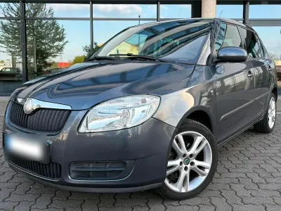Usata Skoda Fabia Ambiente 69 CV (50 kW) 2009 Grigio Berlina