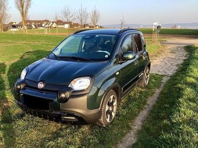 Gebraucht Fiat Panda Cross Cross 71 PS (52 kW) 2025 Grün Kleinwagen