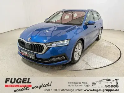Gebraucht Skoda Octavia
