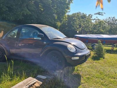 gebraucht VW Beetle 