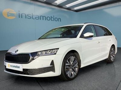 Gebraucht Skoda Octavia 150 PS (110 kW) 2024 Weiß Kombi