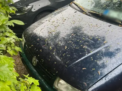 Usata VW Polo