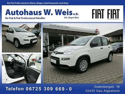 Neu Fiat Panda 69 PS (50 kW) 2025 601 Kleinwagen