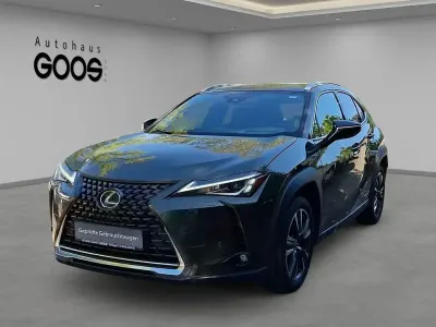 Gebraucht Lexus UX 250h