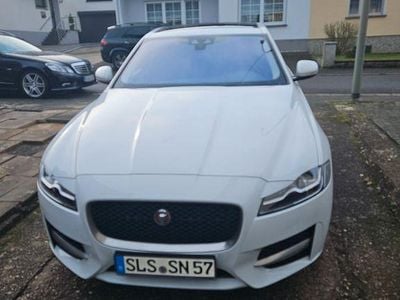Gebraucht Jaguar XF Portfolio 250 PS (183 kW) 2017 Weiß Limousine