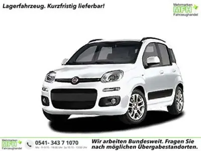 Neu Fiat Panda Icon 65 PS (47 kW) 2026 Gelb, giallo sole Kleinwagen