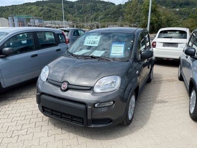 gebraucht Fiat Panda Hybrid 1.0 Hybrid