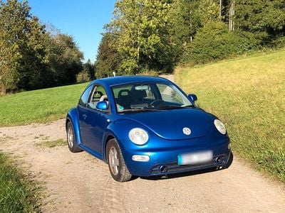 VW Beetle