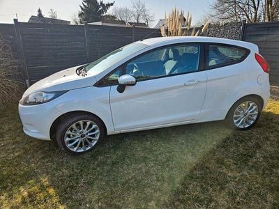 Gebraucht Ford Fiesta Trend 60 PS (44 kW) 2010 Weiß Kleinwagen