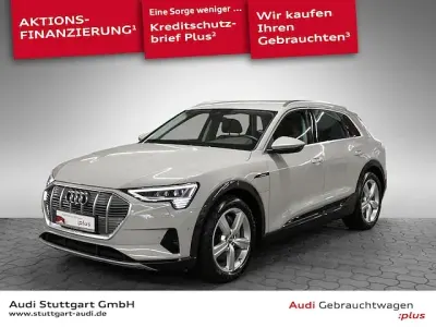 Gebraucht Audi e-tron Advanced Plus 300 kW (408 PS) 2020 Siambeige metallic SUV