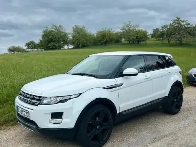 Brugt Land Rover Range Rover evoque Pure 150 HK (110 kW) 2015 Hvid SUV