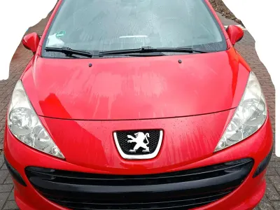 Gebraucht Peugeot 207 73 PS (53 kW) 2007 Rot Kleinwagen