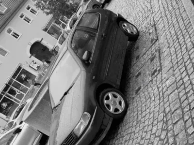 Usata VW Polo 50 CV (36 kW) 1996 Verde Utilitaria