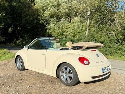 VW Beetle