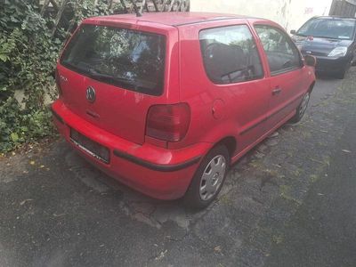 VW Polo