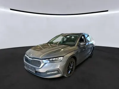 Usata Skoda Octavia Ambition 150 CV (110 kW) 2023 Grigio Station wagon