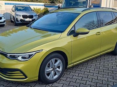 Gebraucht VW Golf VIII Life 150 PS (110 kW) 2024 Limonengelb perleffekt Kombi