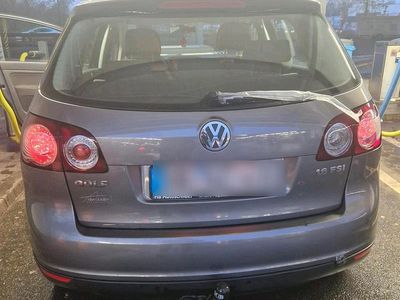 Grau Gebraucht 2005 VW Golf IV Limousine | 1.600 € (Fairer Preis)