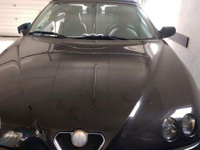 Alfa Romeo Spider