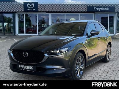 Gebraucht Mazda CX-30 Exclusive-Line 186 PS (136 kW) 2025 Machine gray SUV
