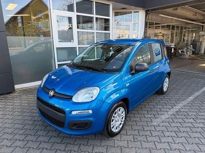 Neu Fiat Panda Icon 65 PS (47 kW) 2026 Blau Kleinwagen