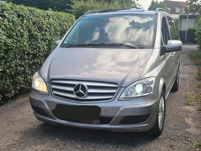 Mercedes Viano