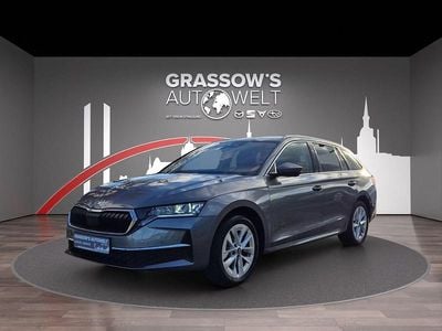 Graphite grey Gebraucht 2025 Skoda Octavia Selection Kombi | 32.490 € (Fairer Preis)