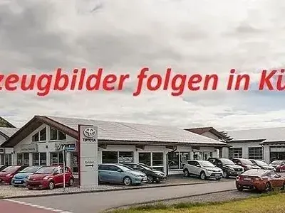 Gebraucht Lexus UX 250h Executive Line 184 PS (135 kW) 2023 Grün SUV