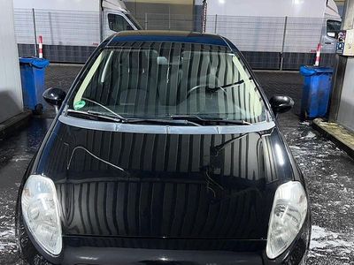 Schwarz Gebraucht 2008 Fiat Punto Kleinwagen | 3.200 €