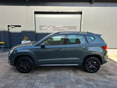 Gebraucht Cupra Ateca 150 PS (110 kW) 2026 Grün SUV