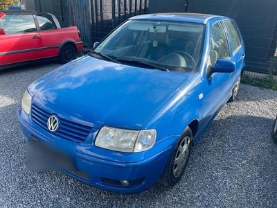 VW Polo