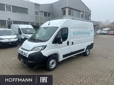 Neu Fiat Ducato 140 PS (102 kW) 2025 Weiss ducato weiss Van