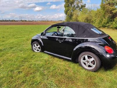 VW Beetle