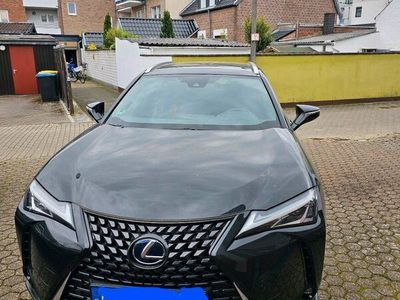 gebraucht Lexus UX 