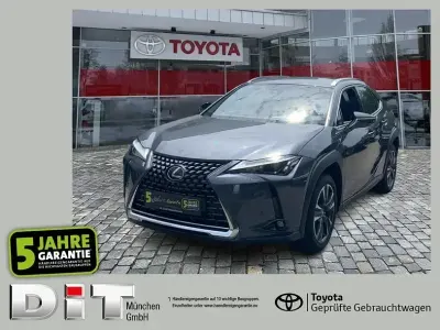 Gebraucht Lexus UX 250h