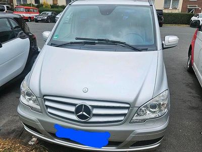 Mercedes Viano
