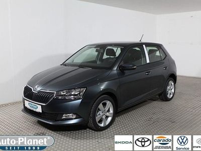 Gebraucht Skoda Fabia Cool Plus 60 PS (44 kW) 2019 Quarzgrau metallic (metallic) Kleinwagen