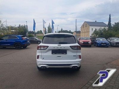 Gebraucht Ford Kuga ST-Line X 224 PS (164 kW) 2022 Weiß SUV