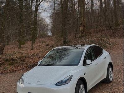 Weiß Gebraucht 2024 Tesla Model Y Long Range AWD SUV | 39.000 € (Fairer Preis)