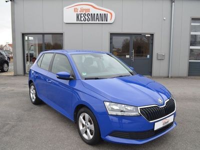 gebraucht Skoda Fabia Active