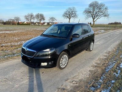 gebraucht Skoda Fabia 1.2 TSI Ambition 86 PS AHK, 8-Fach, Kamera