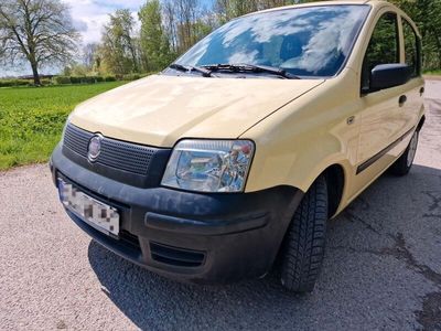 gebraucht Fiat Panda Kleinwagen Anfängerauto 40tsd km